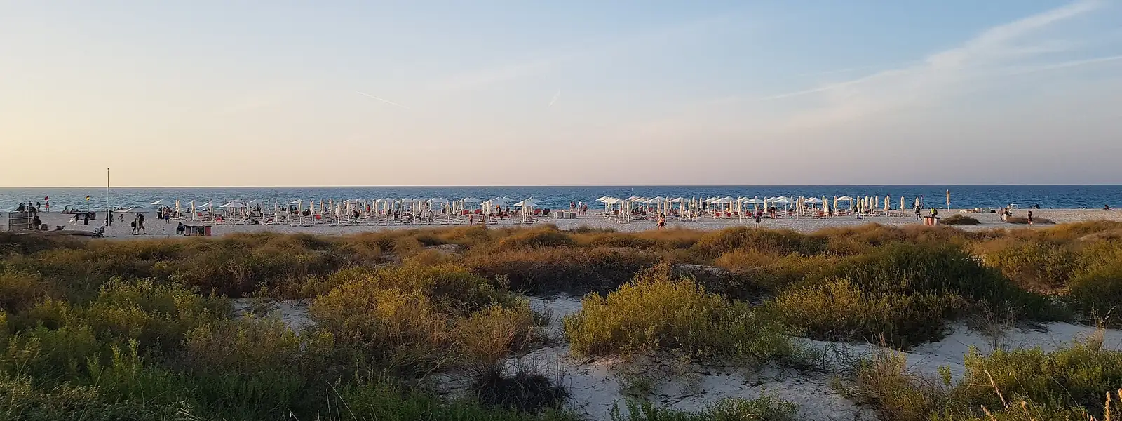 Saadiyat Island beach